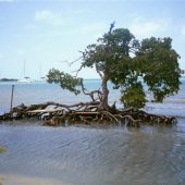  Placencia, Belize